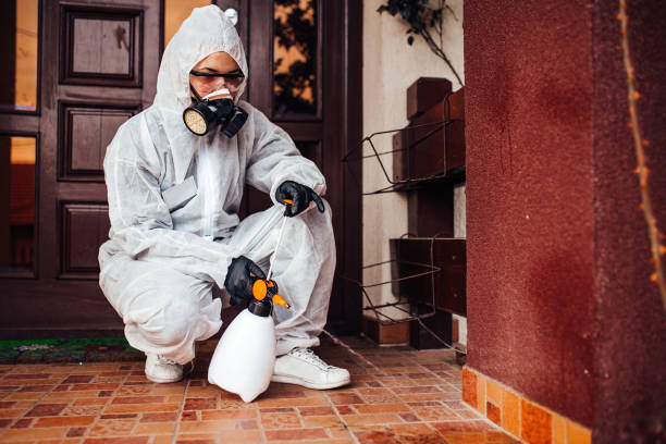 Reliable Termite Control contractor in Brushy Creek, TX by Nex Pest Control