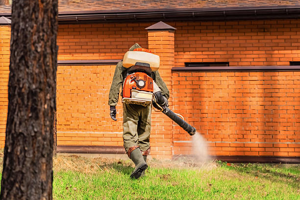 Trusted Mosquito Control service in Brushy Creek, TX - Nex Pest Control